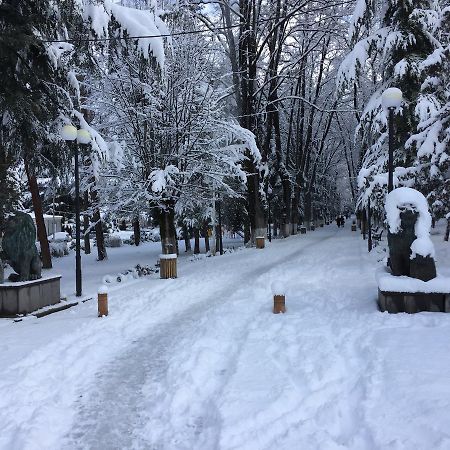 Natali'S House Apartment Borjomi ภายนอก รูปภาพ