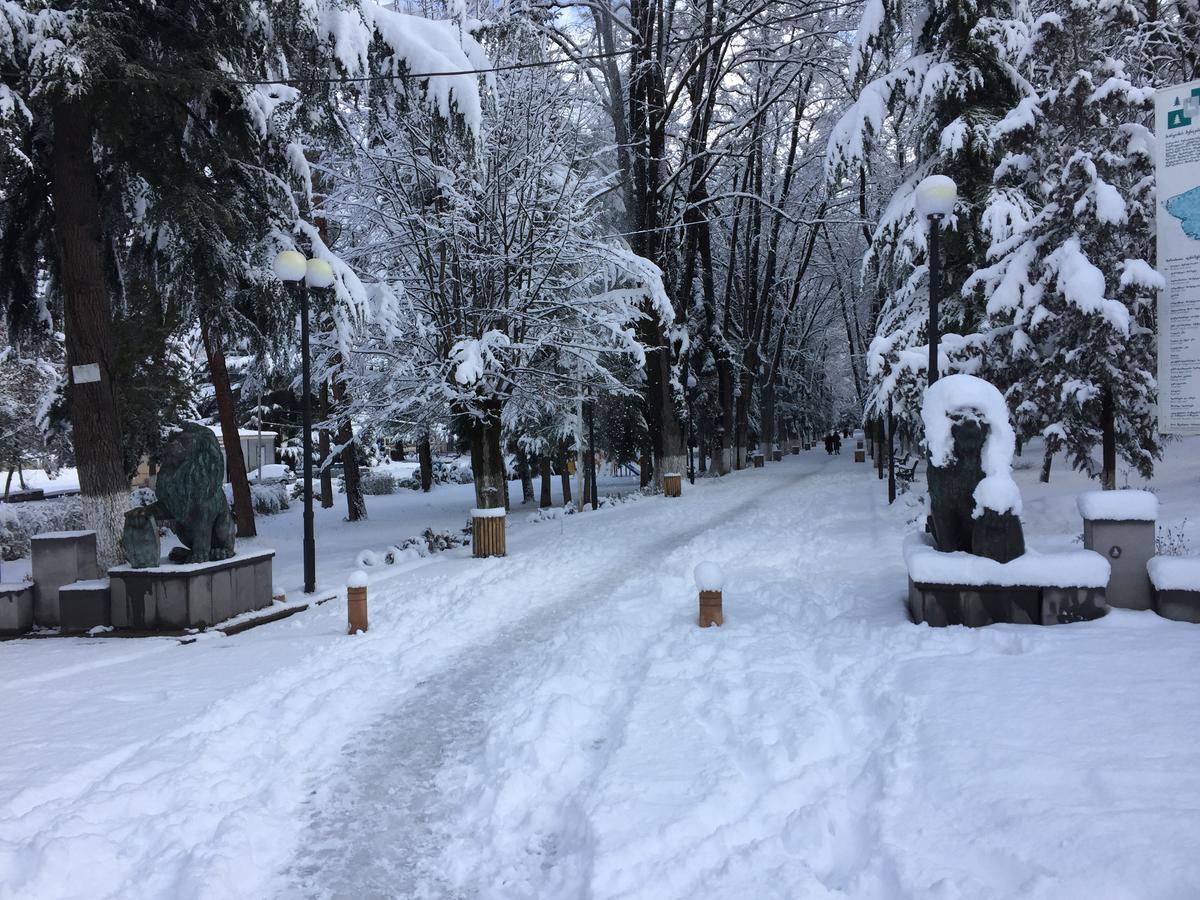 Natali'S House Apartment Borjomi ภายนอก รูปภาพ
